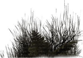 Black Grass-RM - PNG gratuit