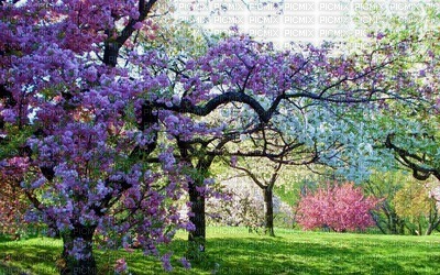 bg-landscape-flowers-garden-minou52 - gratis png