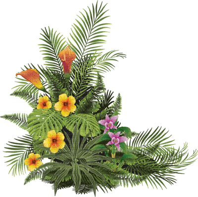 plantas - PNG gratuit
