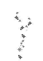 étoile - GIF animado grátis