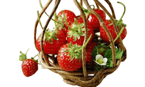 fraises strawberry  berry - png ฟรี