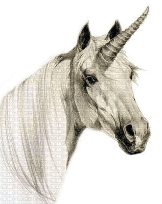 fantasy unicorn by nataliplus - png gratuito