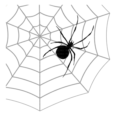 spider - 免费PNG
