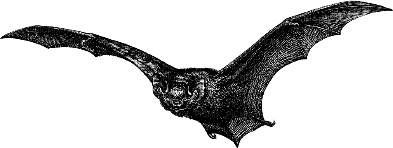 bat - Безплатен анимиран GIF