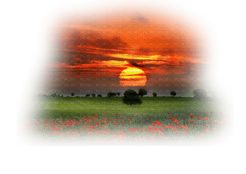 Закат над полем - ücretsiz png
