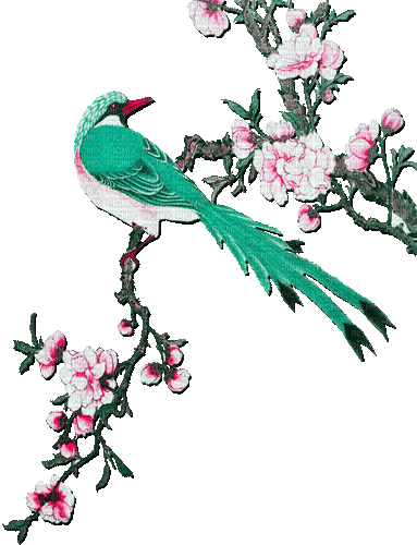 green pink milla1959 - 無料のアニメーション GIF