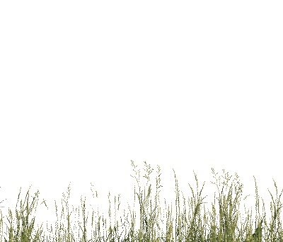 Трава - Бесплатни анимирани ГИФ