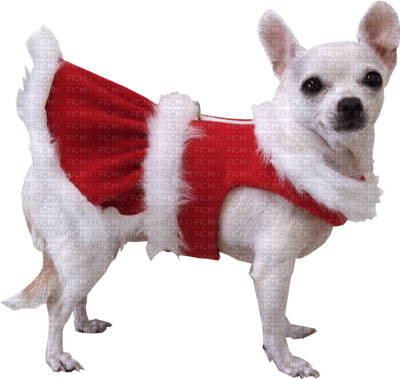 Kaz_Creations Dogs Dog Large  Christmas - png gratis