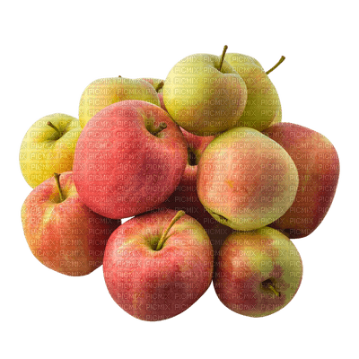 frukt-äpple - bezmaksas png