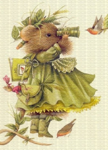 vera the mouse - png grátis