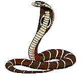 serpent - 免费动画 GIF