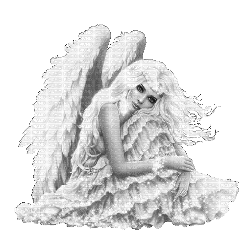 Y.A.M._Fantasy angel black-white - Zdarma animovaný GIF