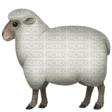 Sheep emoji - ingyenes png