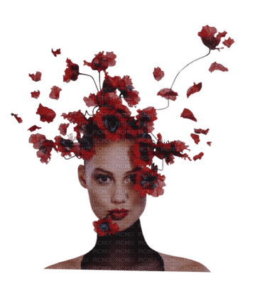 loly33 poppy coquelicot - png gratis