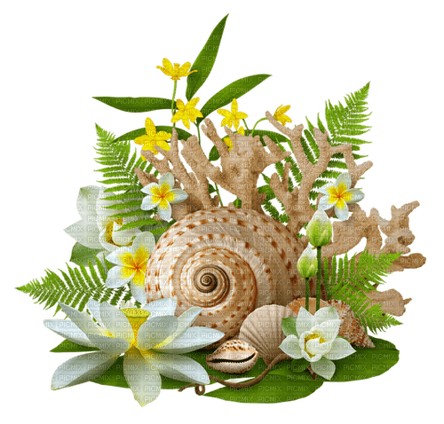 Cluster.Summer.White.Brown.Green.Yellow - безплатен png