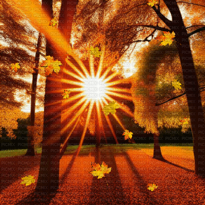 Autumn Sunset - Безплатен анимиран GIF