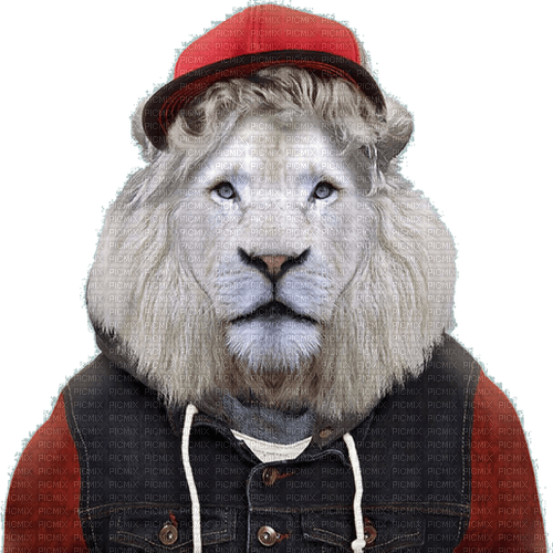 Lion in Human Clothes - png gratis