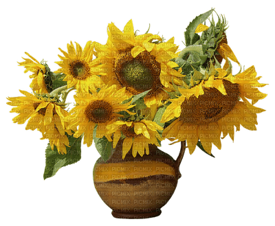 Sunflower fleur - gratis png