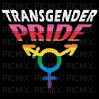 transgender pride 2000s - png grátis