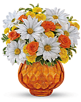 Kaz_Creations  Flowers Vase Colours - nemokama png