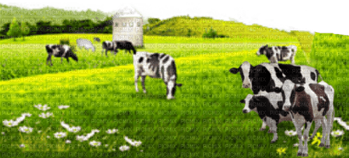 Bauernhof - ücretsiz png