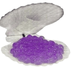 Seashell w/ Purple Orbeez - png ฟรี