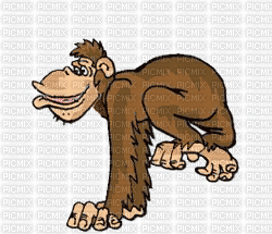 ape - 無料のアニメーション GIF