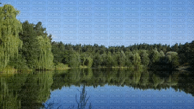 järvi, lake, liikeanimaatio, effect - Безплатен анимиран GIF