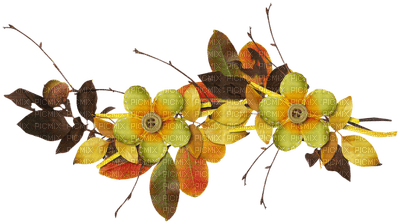 Kaz_Creations Deco Autumn Flowers Colours - nemokama png