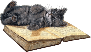 Kaz_Creations Cats Kittens Cat Kitten Book - безплатен png