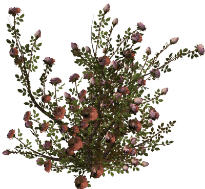 Kaz_Creations Garden Deco Flowers - zdarma png