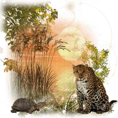 leopard bp - фрее пнг