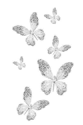Butterflies.White - png grátis