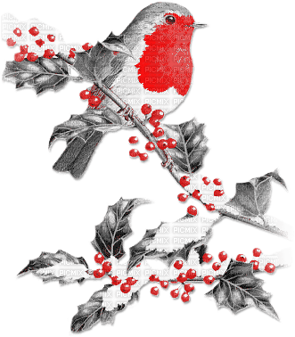 soave deco christmas winter vintage  branch bird - Free PNG