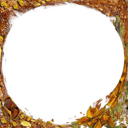 Frame Circle Autumn - Bogusia - gratis png