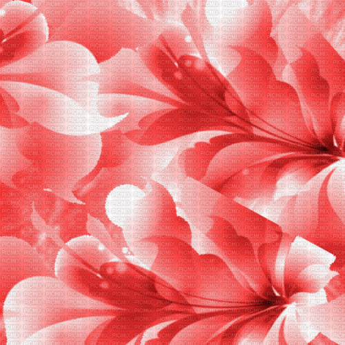 SA / iBG.anim.flower.red.btbgi.dca - Gratis animerad GIF