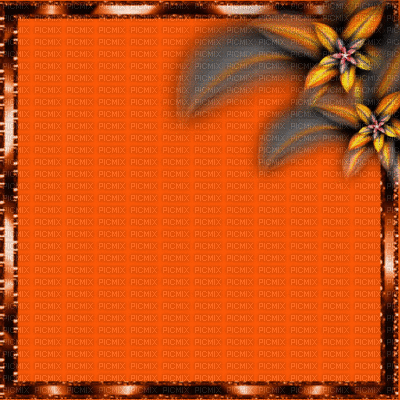 fond orange.Cheyenne63 - Free animated GIF