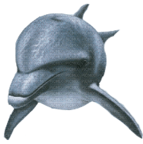 dolceluna dolphin blue summer deco - PNG gratuit