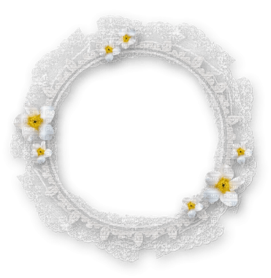 frame-rund-spets-lace-blomma-vit - 免费PNG
