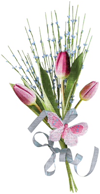 patymirabelle tulipes - Free PNG