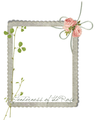 minou-frame-flower-text - ilmainen png