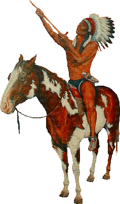 az indien cheval - Darmowy animowany GIF