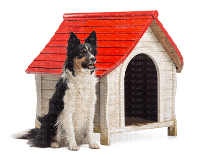 dog house Nitsa P - ilmainen png
