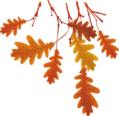 Autumn leaf - безплатен png