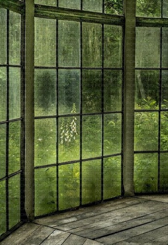 window  nature - 免费PNG