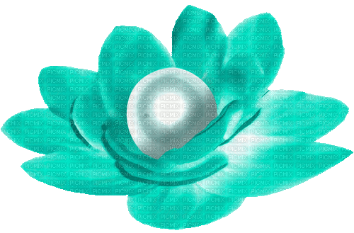 Animated.Flower.Pearl.Teal - By KittyKatLuv65 - Besplatni animirani GIF