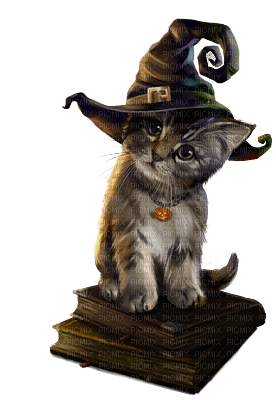 halloween-cat-katt - бесплатно png