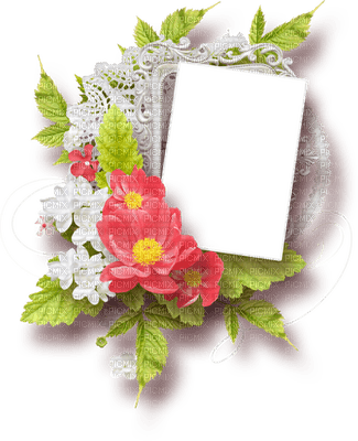 Kaz_Creations Deco Flowers Colours  Frames Frame - nemokama png