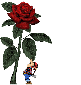RED ROSA - GIF animasi gratis