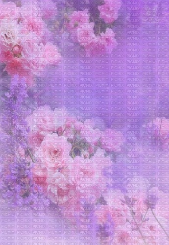 purple background with  roses - zadarmo png